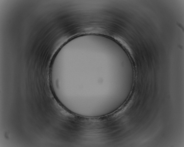 X0000096660941200802050953