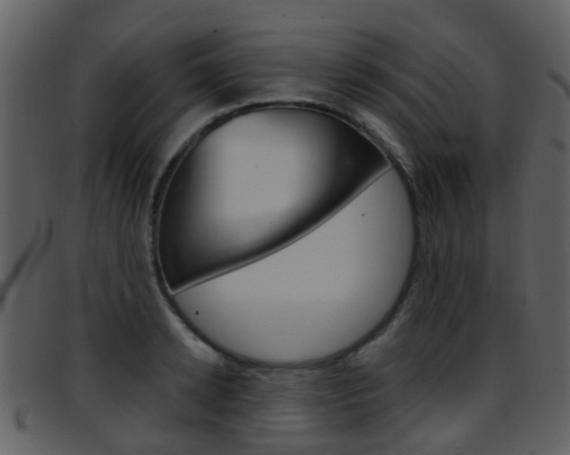 X0000096660942200802050953