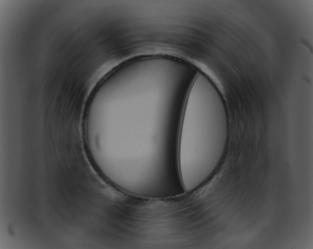 X0000096660943200802050953
