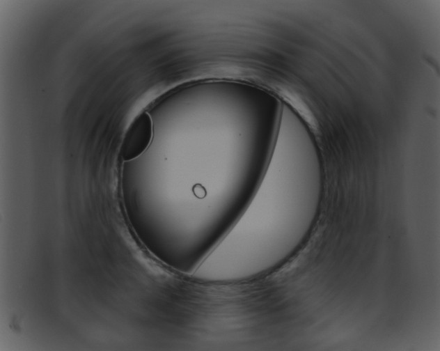 X0000096660944200802050953