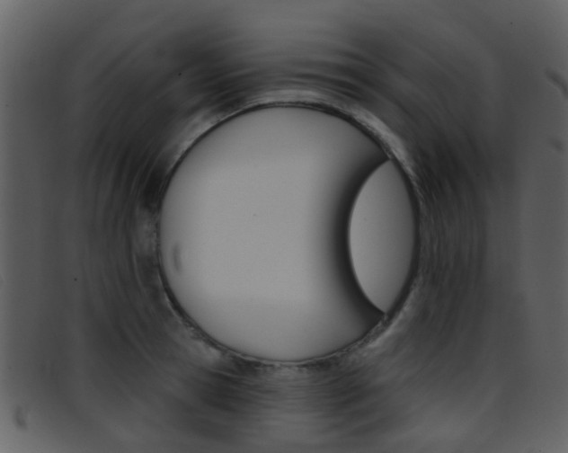 X0000096660945200802050953