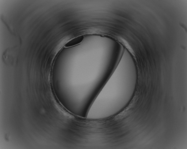 X0000096660946200802050953