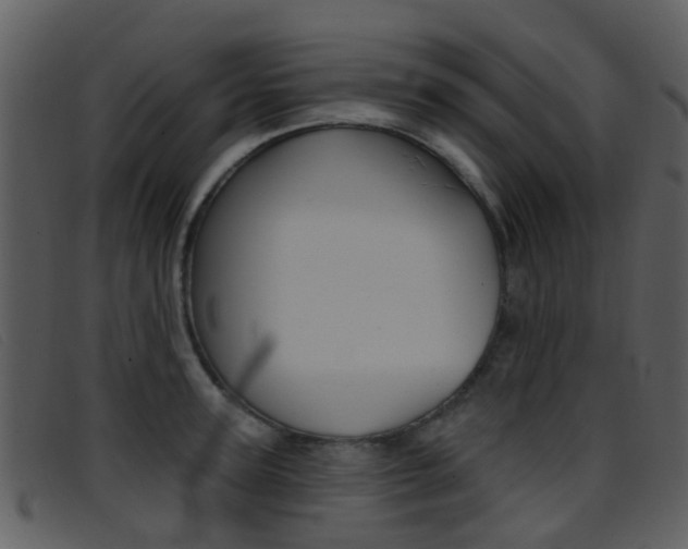 X0000096660947200802050953
