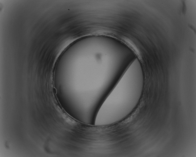 X0000096660948200802050953