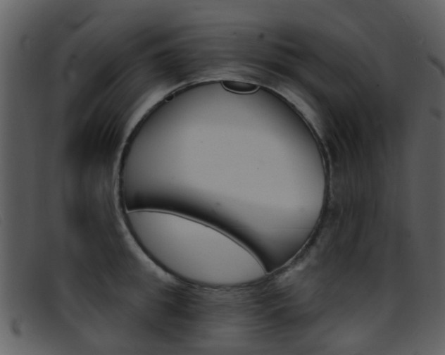 X0000096660949200802050953