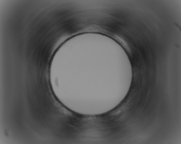 X0000096660950200802050953