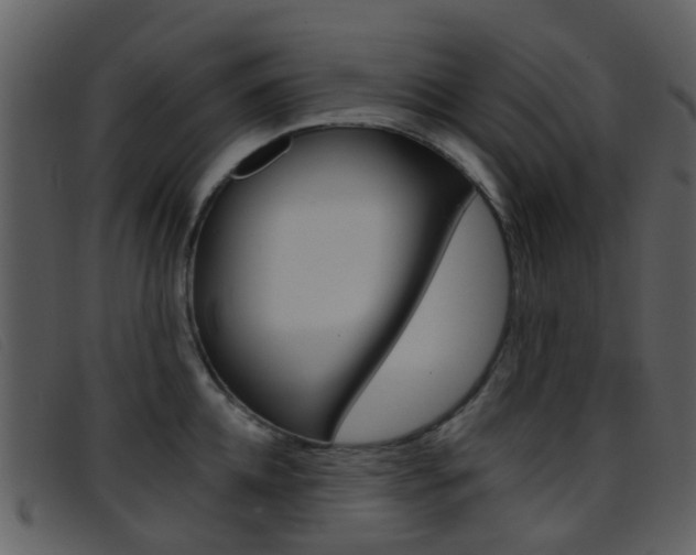 X0000096660952200802050953