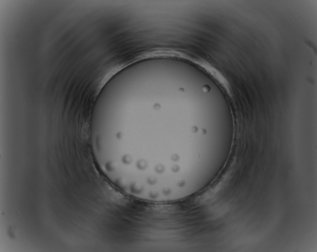 X0000096660953200802050953
