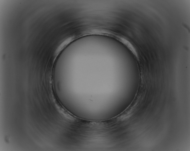 X0000096660954200802050953