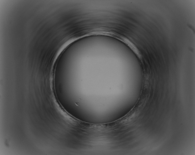 X0000096660955200802050953