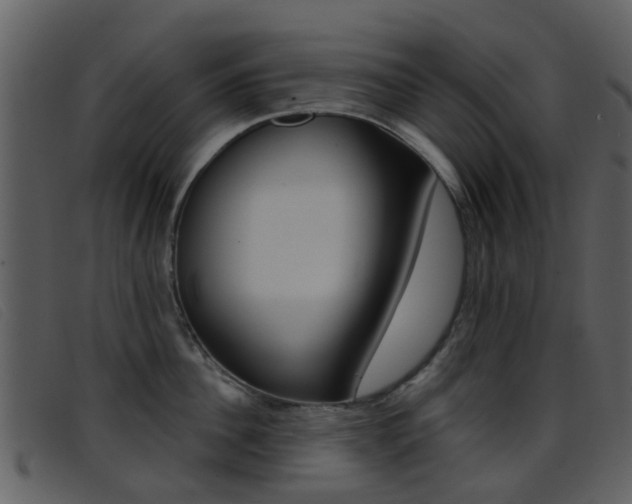 X0000096660956200802050953