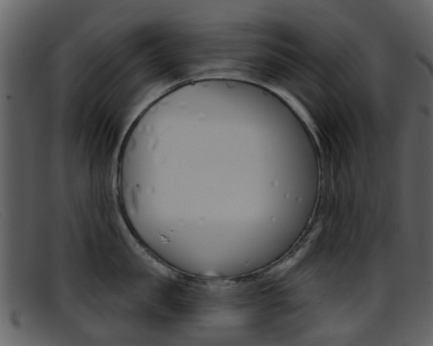 X0000096660957200802050953