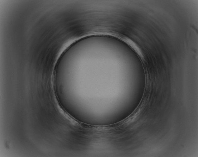 X0000096660958200802050953