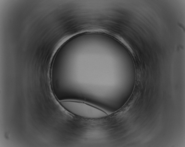 X0000096660959200802050953