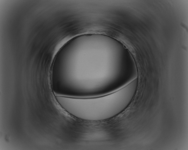 X0000096660960200802050953