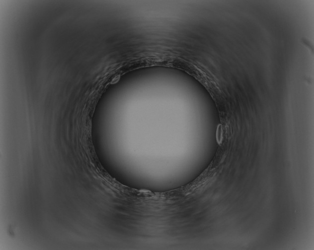 X0000096660961200802050953