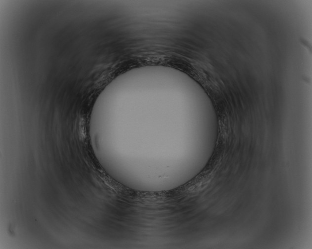 X0000096660962200802050953