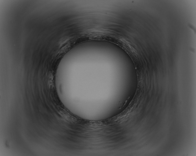 X0000096660964200802050953