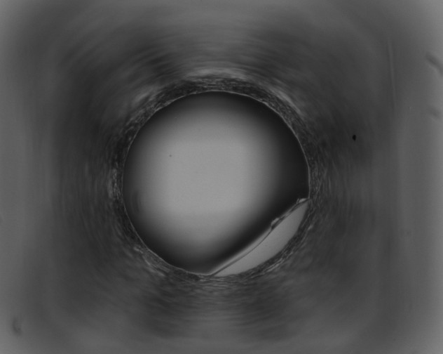 X0000096660965200802050953