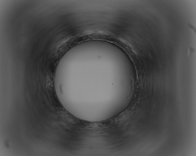 X0000096660966200802050953
