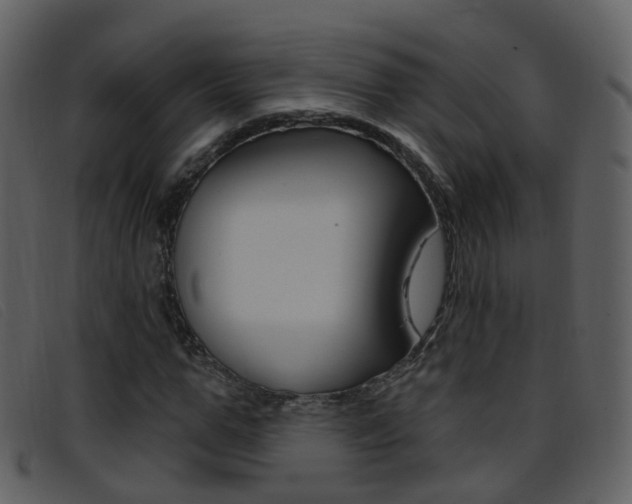 X0000096660967200802050953