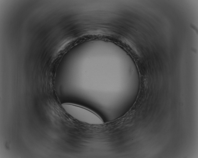 X0000096660968200802050953