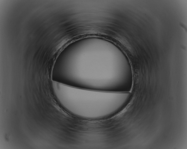X0000096660969200802050953