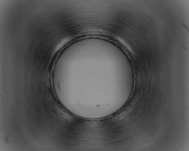 X0000096660970200802050953