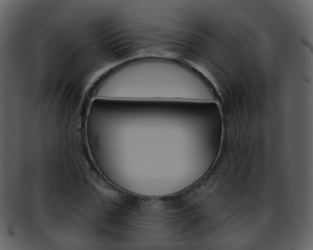 X0000096660971200802050952