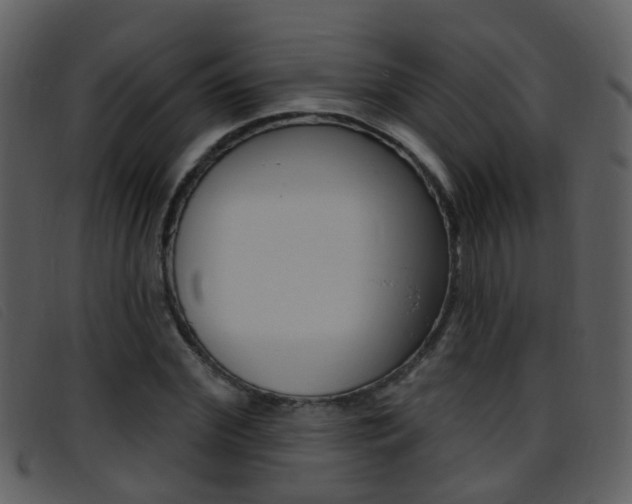 X0000096660972200802050952