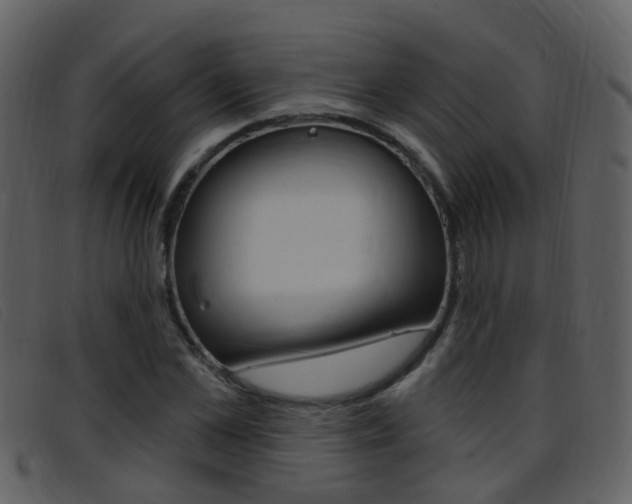 X0000096660973200802050952