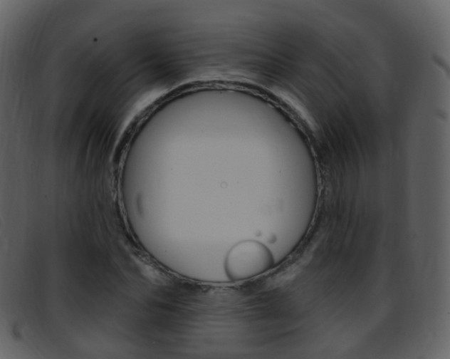 X0000096660974200802050952