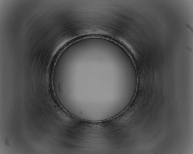 X0000096660975200802050952