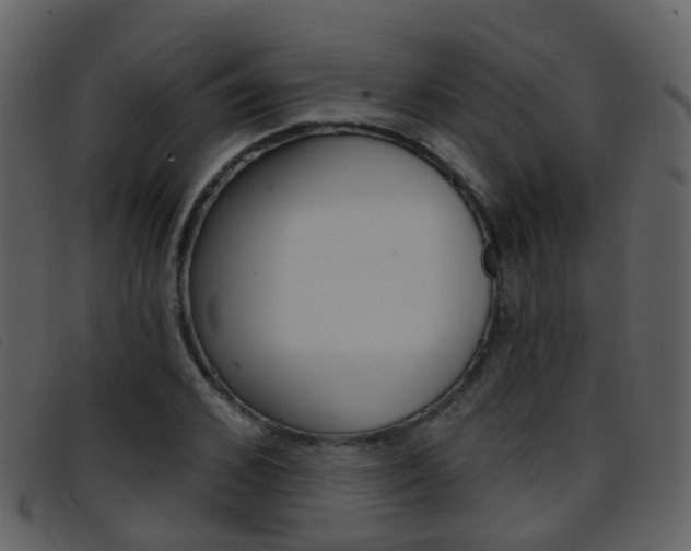 X0000096660976200802050952