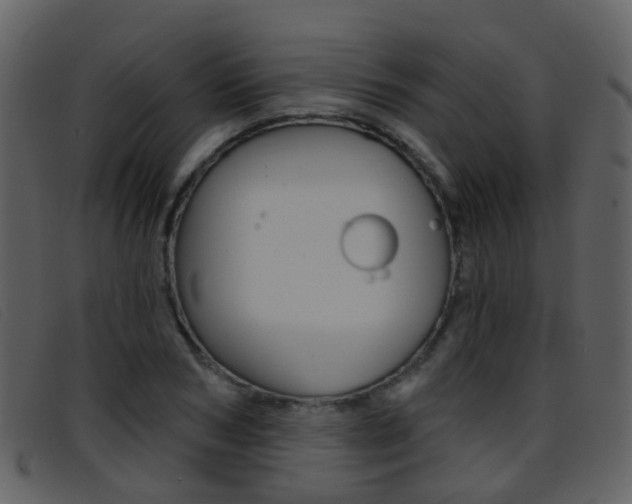 X0000096660978200802050952