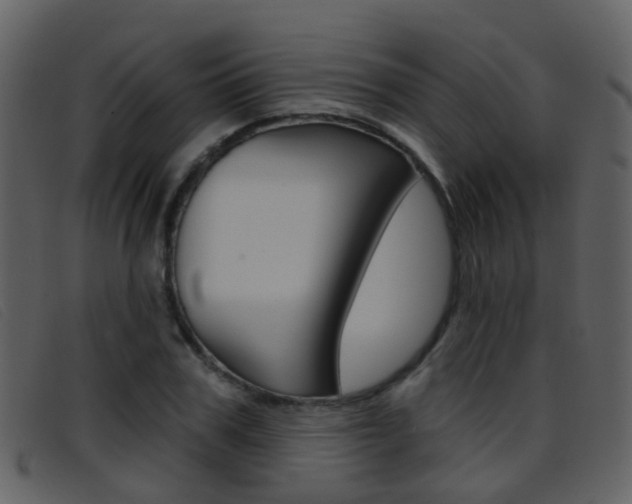 X0000096660979200802050952