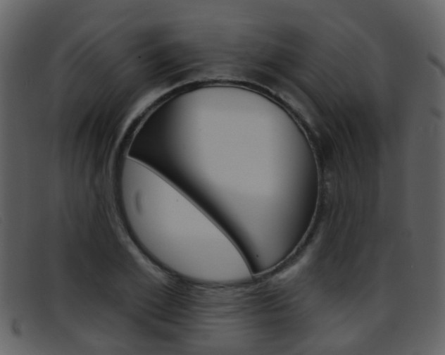 X0000096660981200802050952