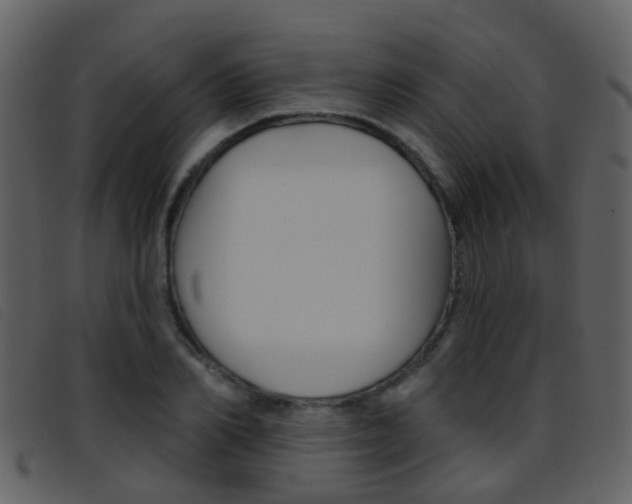 X0000096660982200802050952