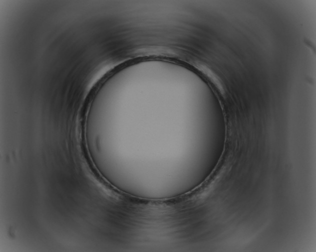 X0000096660983200802050952