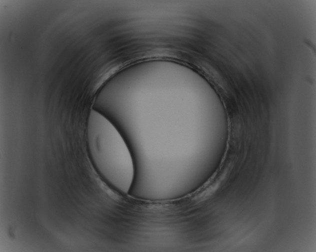 X0000096660985200802050952