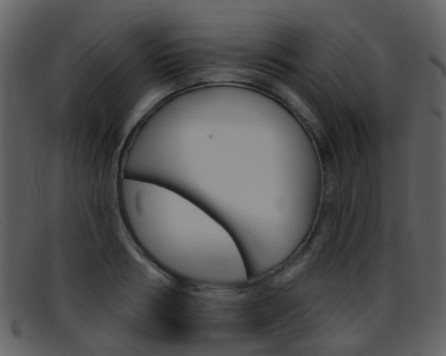 X0000096660986200802050952