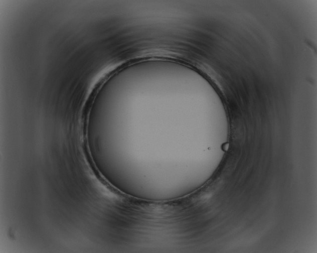 X0000096660987200802050952