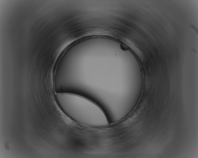 X0000096660988200802050952