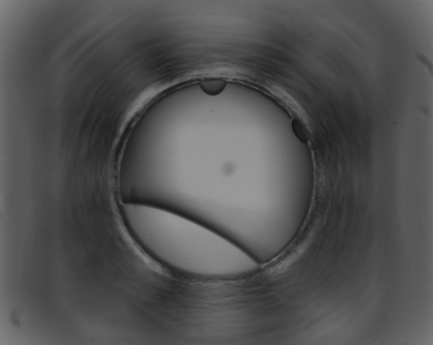 X0000096660989200802050952