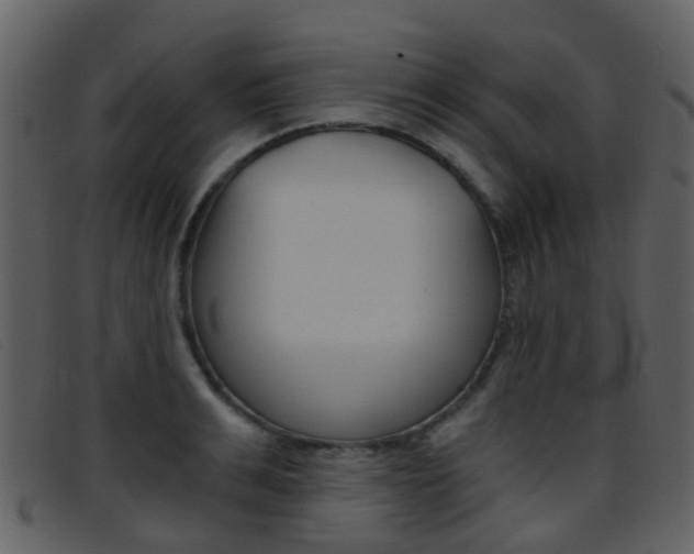 X0000096660991200802050952