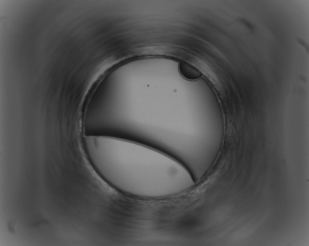 X0000096660992200802050952