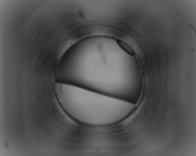 X0000096660993200802050952