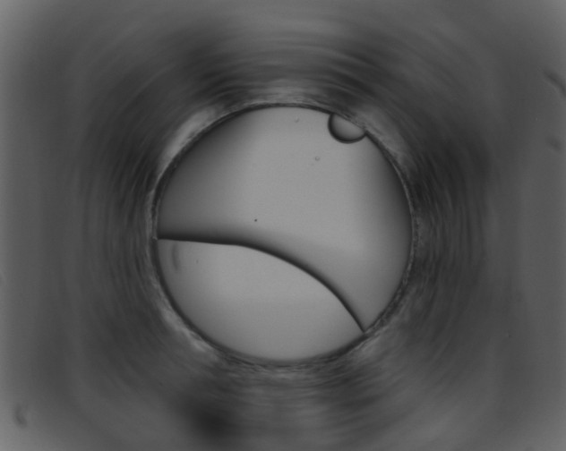 X0000096660994200802050952