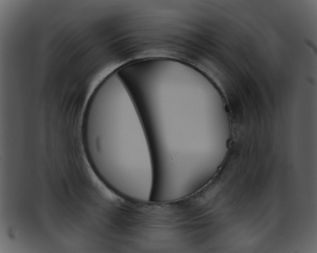 X0000096660995200802050952