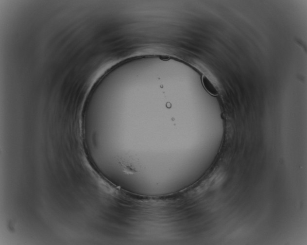 X0000096660996200802050952